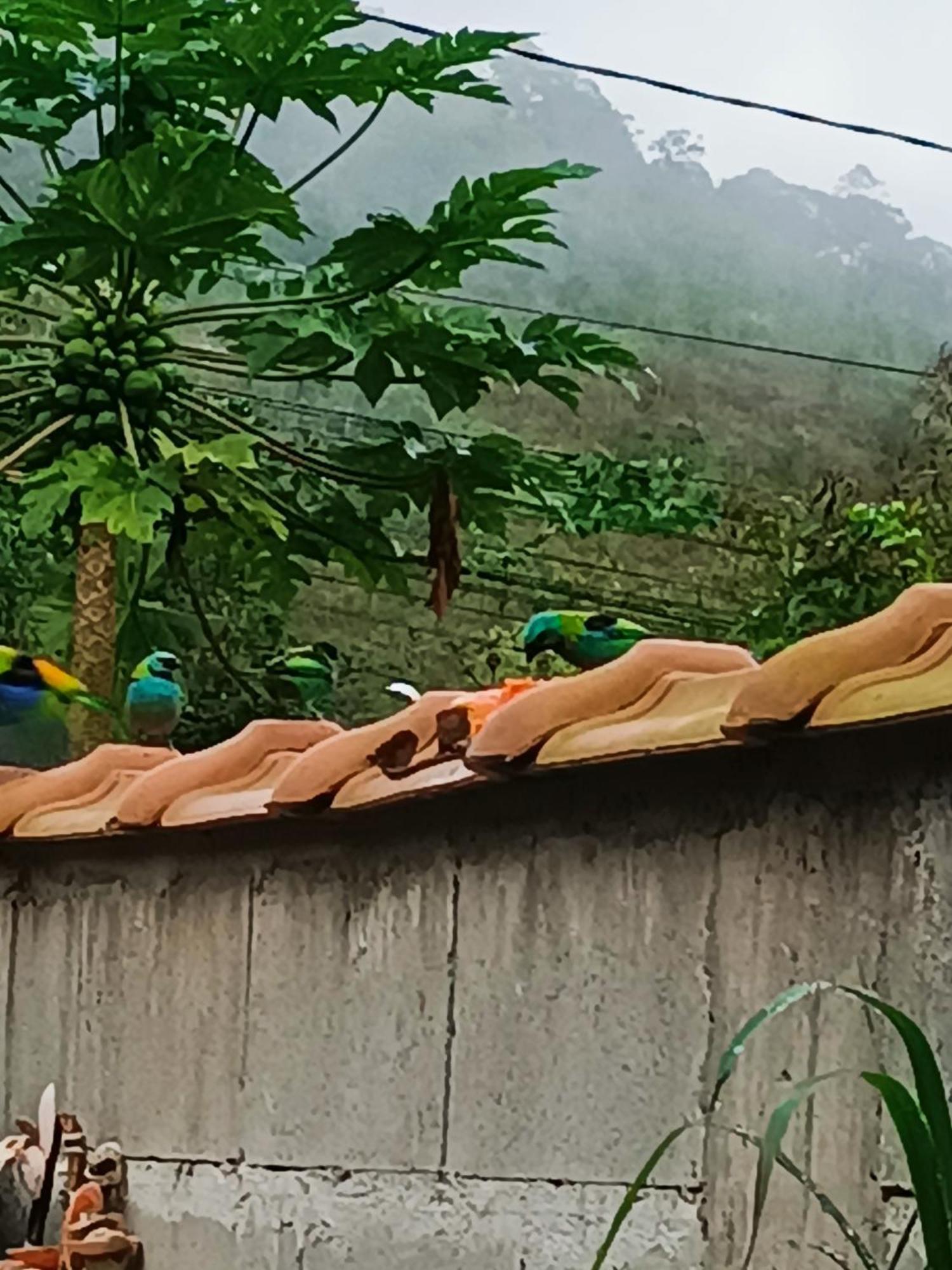 Сasa de vacaciones Aloha#sossego Ubatuba